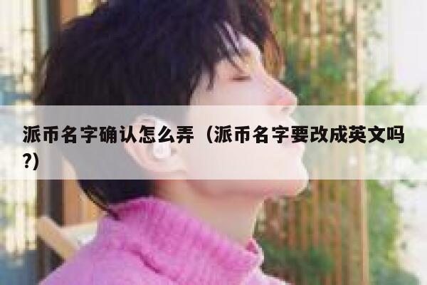派币名字确认怎么弄（派币名字要改成英文吗?） 第1张