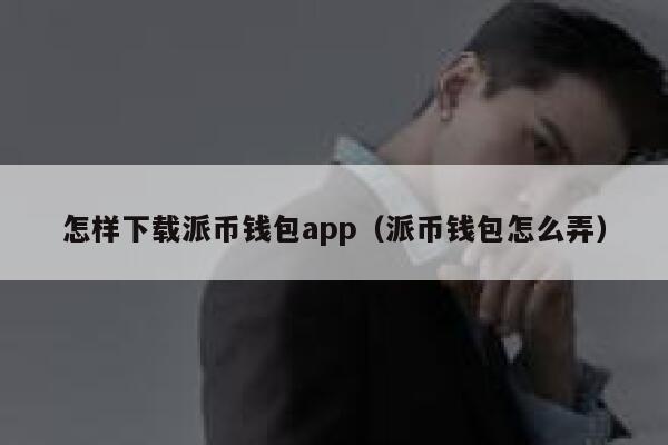 怎样下载派币钱包app（派币钱包怎么弄） 第1张