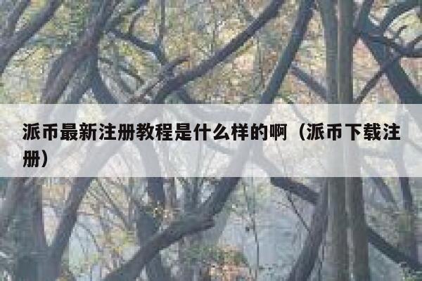 派币最新注册教程是什么样的啊（派币下载注册） 第1张