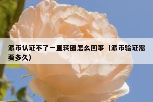 派币认证不了一直转圈怎么回事（派币验证需要多久） 第1张