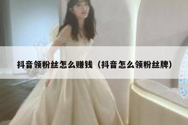 抖音领粉丝怎么赚钱（抖音怎么领粉丝牌） 第1张