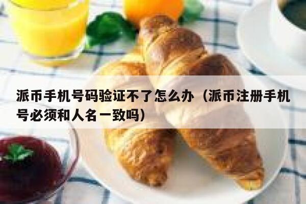 派币手机号码验证不了怎么办(派币注册手机号必须和人名一致吗) 第1张 派币手机号码验证不了怎么办(派币注册手机号必须和人名一致吗) 第1张