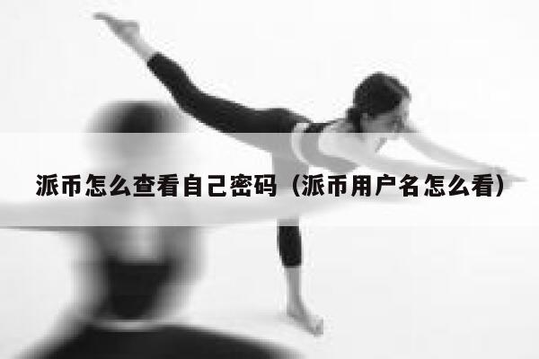 派币怎么查看自己密码(派币用户名怎么看) 第1张 派币怎么查看自己密码(派币用户名怎么看) 第1张