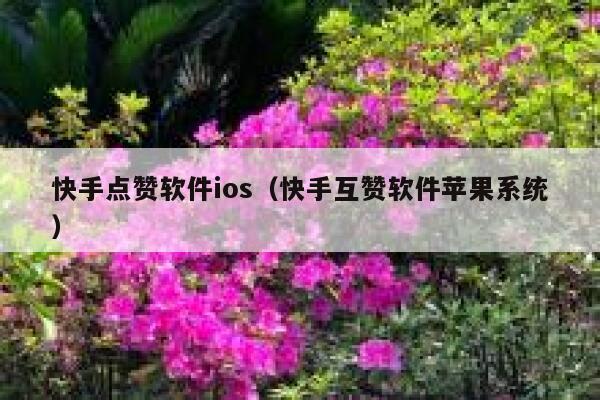 快手点赞软件ios（快手互赞软件苹果系统） 第1张