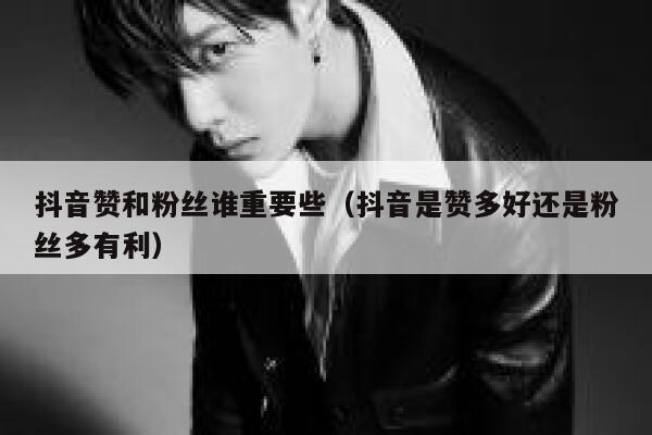 抖音赞和粉丝谁重要些（抖音是赞多好还是粉丝多有利） 第1张