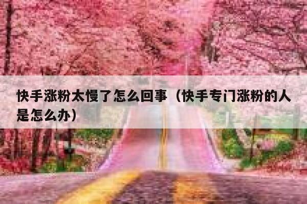 快手涨粉太慢了怎么回事(快手专门涨粉的人是怎么办) 第1张 快手涨粉太慢了怎么回事(快手专门涨粉的人是怎么办) 第1张