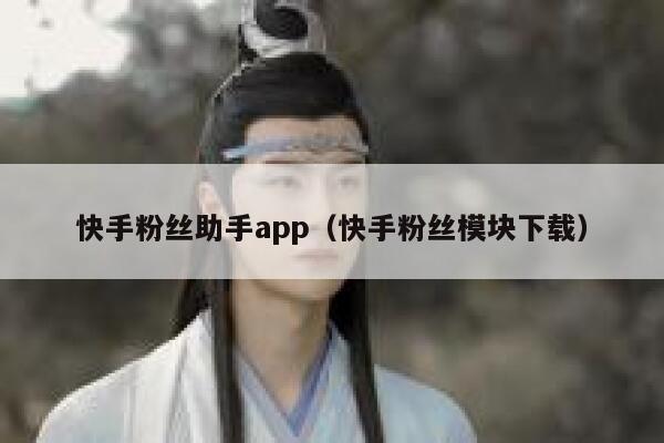 快手粉丝助手app（快手粉丝模块下载） 第1张