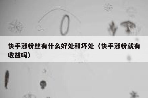 快手涨粉丝有什么好处和坏处(快手涨粉就有收益吗) 第1张 快手涨粉丝有什么好处和坏处(快手涨粉就有收益吗) 第1张