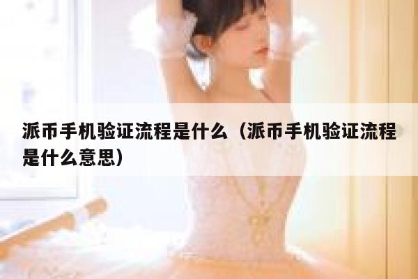 派币手机验证流程是什么（派币手机验证流程是什么意思） 第1张