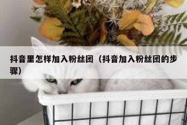 抖音里怎样加入粉丝团(抖音加入粉丝团的步骤) 第1张 抖音里怎样加入粉丝团(抖音加入粉丝团的步骤) 第1张