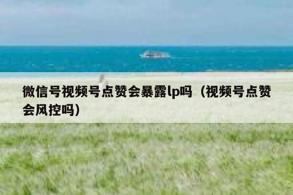微信号视频号点赞会暴露lp吗(视频号点赞会风控吗) 第1张 微信号视频号点赞会暴露lp吗(视频号点赞会风控吗) 第1张