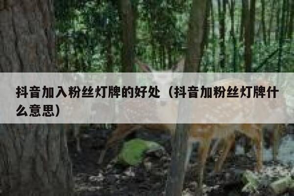 抖音加入粉丝灯牌的好处（抖音加粉丝灯牌什么意思） 第1张