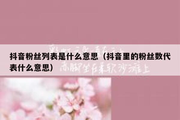 抖音粉丝列表是什么意思(抖音里的粉丝数代表什么意思) 第1张 抖音粉丝列表是什么意思(抖音里的粉丝数代表什么意思) 第1张