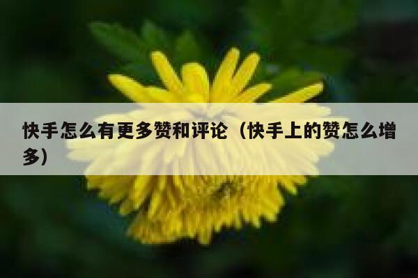 快手怎么有更多赞和评论(快手上的赞怎么增多) 第1张 快手怎么有更多赞和评论(快手上的赞怎么增多) 第1张