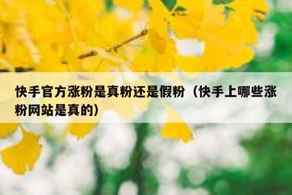 快手官方涨粉是真粉还是假粉（快手上哪些涨粉网站是真的） 第1张
