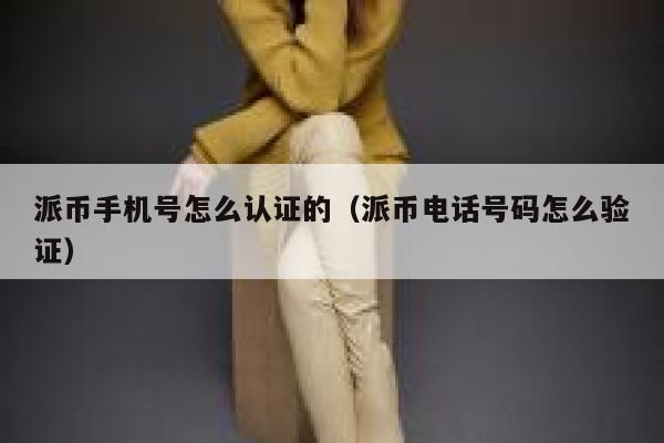 派币手机号怎么认证的（派币电话号码怎么验证） 第1张