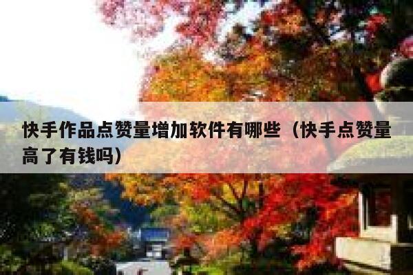 快手作品点赞量增加软件有哪些（快手点赞量高了有钱吗） 第1张
