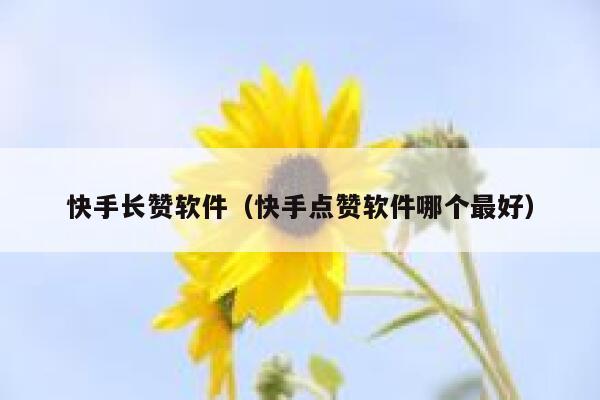 快手长赞软件(快手点赞软件哪个最好) 第1张 快手长赞软件(快手点赞软件哪个最好) 第1张