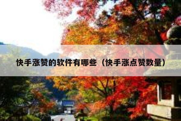 快手涨赞的软件有哪些（快手涨点赞数量） 第1张