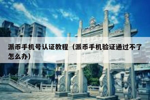 派币手机号认证教程（派币手机验证通过不了怎么办） 第1张