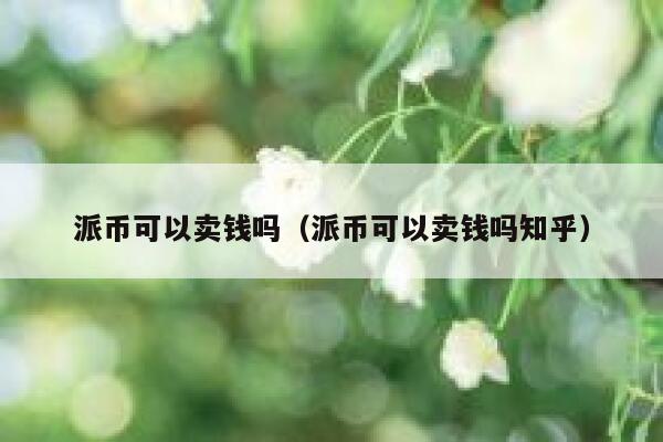 派币可以卖钱吗（派币可以卖钱吗知乎） 第1张