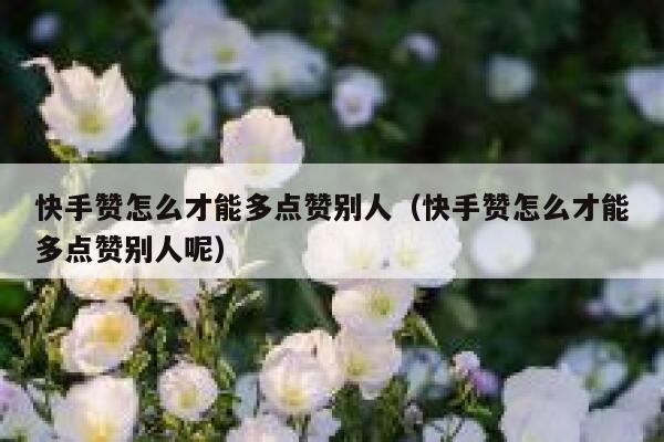 快手赞怎么才能多点赞别人(快手赞怎么才能多点赞别人呢) 第1张 快手赞怎么才能多点赞别人(快手赞怎么才能多点赞别人呢) 第1张