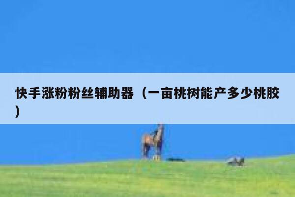 快手涨粉粉丝辅助器(一亩桃树能产多少桃胶) 第1张 快手涨粉粉丝辅助器(一亩桃树能产多少桃胶) 第1张