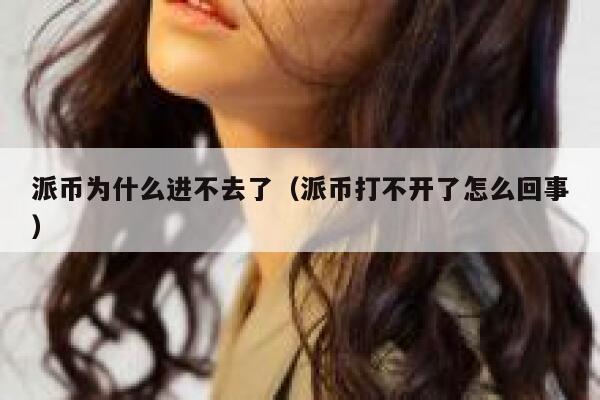 派币为什么进不去了(派币打不开了怎么回事) 第1张 派币为什么进不去了(派币打不开了怎么回事) 第1张