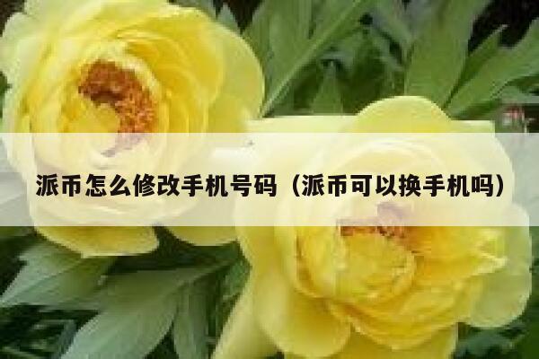 派币怎么修改手机号码（派币可以换手机吗） 第1张