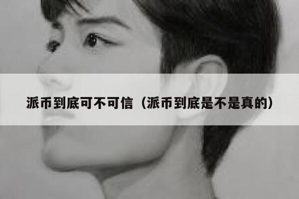 派币到底可不可信(派币到底是不是真的) 第1张 派币到底可不可信(派币到底是不是真的) 第1张