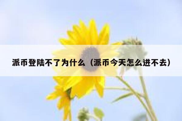 派币登陆不了为什么(派币今天怎么进不去) 第1张 派币登陆不了为什么(派币今天怎么进不去) 第1张