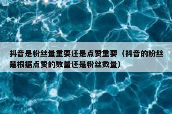 抖音是粉丝量重要还是点赞重要(抖音的粉丝是根据点赞的数量还是粉丝数量) 第1张 抖音是粉丝量重要还是点赞重要(抖音的粉丝是根据点赞的数量还是粉丝数量) 第1张