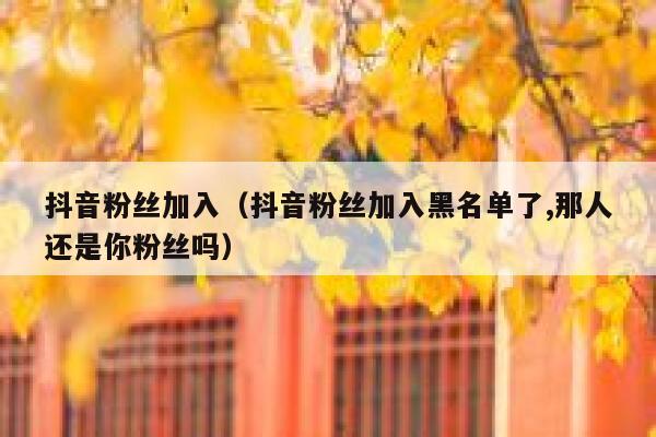 抖音粉丝加入（抖音粉丝加入黑名单了,那人还是你粉丝吗） 第1张