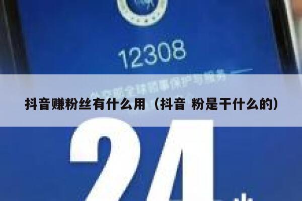 抖音赚粉丝有什么用（抖音 粉是干什么的） 第1张
