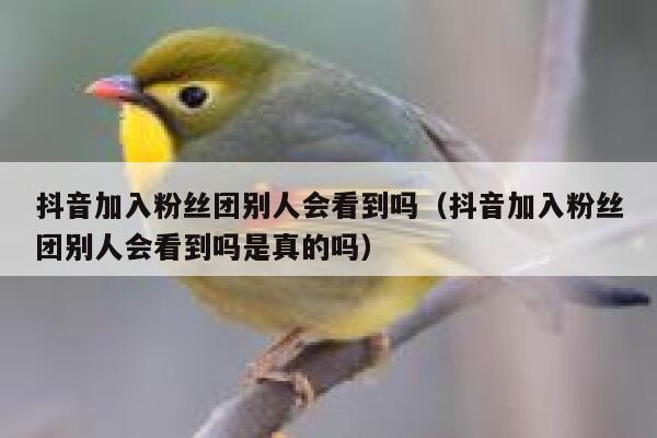 抖音加入粉丝团别人会看到吗(抖音加入粉丝团别人会看到吗是真的吗) 第1张 抖音加入粉丝团别人会看到吗(抖音加入粉丝团别人会看到吗是真的吗) 第1张