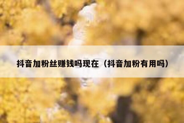 抖音加粉丝赚钱吗现在（抖音加粉有用吗） 第1张