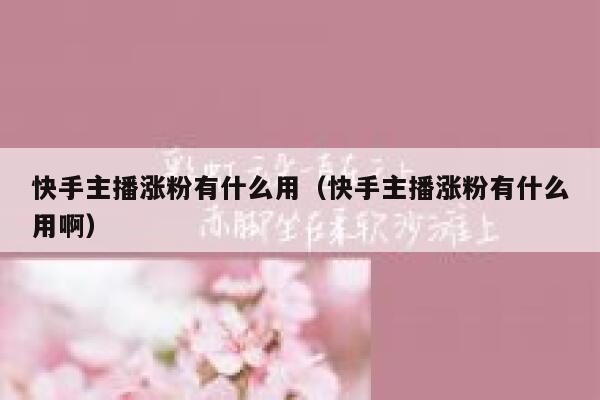 快手主播涨粉有什么用（快手主播涨粉有什么用啊） 第1张