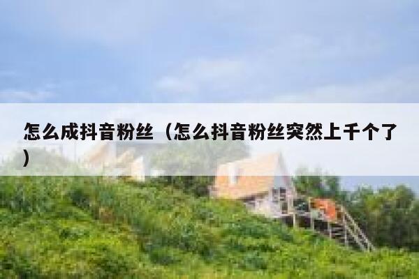 怎么成抖音粉丝（怎么抖音粉丝突然上千个了） 第1张