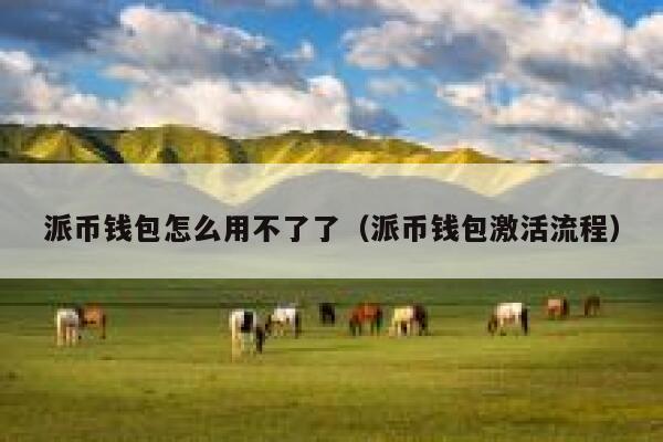 派币钱包怎么用不了了（派币钱包激活流程） 第1张