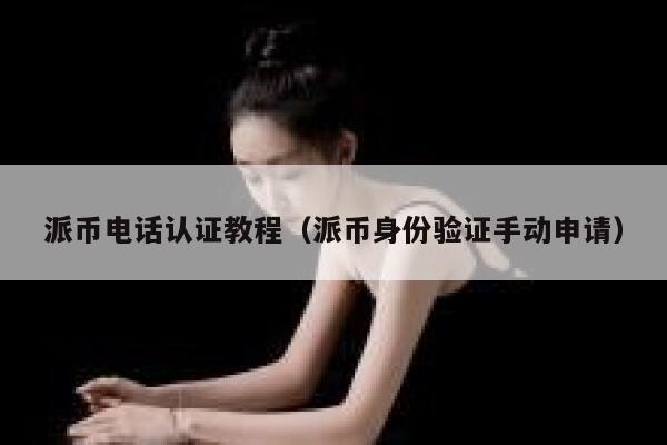 派币电话认证教程（派币身份验证手动申请） 第1张