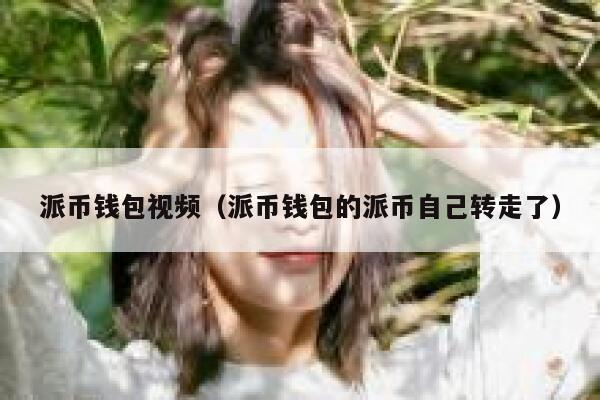派币钱包视频(派币钱包的派币自己转走了) 第1张 派币钱包视频(派币钱包的派币自己转走了) 第1张