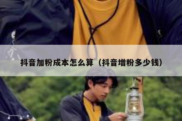 抖音加粉成本怎么算（抖音增粉多少钱） 第1张