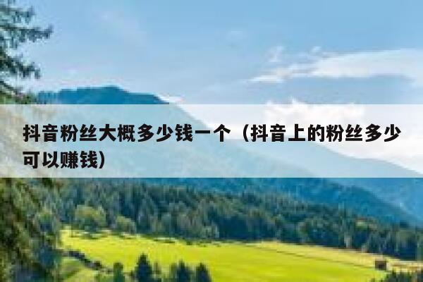抖音粉丝大概多少钱一个（抖音上的粉丝多少可以赚钱） 第1张