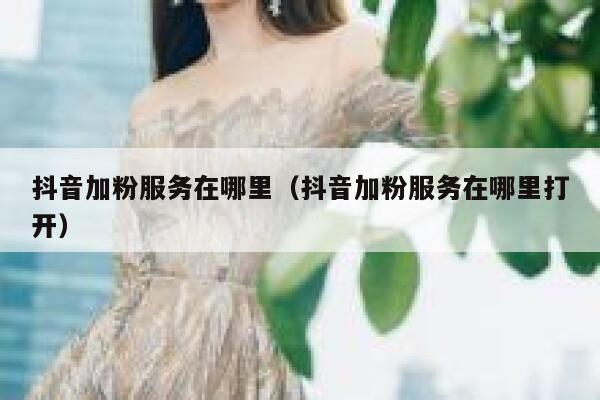 抖音加粉服务在哪里（抖音加粉服务在哪里打开） 第1张