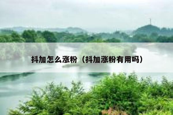 抖加怎么涨粉(抖加涨粉有用吗) 第1张 抖加怎么涨粉(抖加涨粉有用吗) 第1张