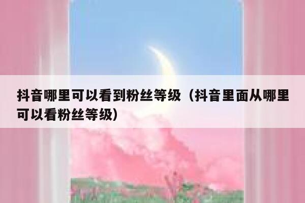 抖音哪里可以看到粉丝等级(抖音里面从哪里可以看粉丝等级) 第1张 抖音哪里可以看到粉丝等级(抖音里面从哪里可以看粉丝等级) 第1张