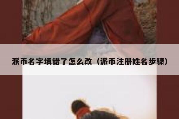 派币名字填错了怎么改(派币注册姓名步骤) 第1张 派币名字填错了怎么改(派币注册姓名步骤) 第1张