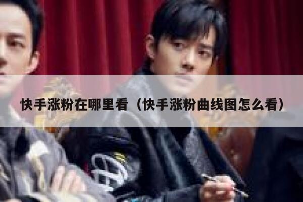 快手涨粉在哪里看(快手涨粉曲线图怎么看) 第1张 快手涨粉在哪里看(快手涨粉曲线图怎么看) 第1张