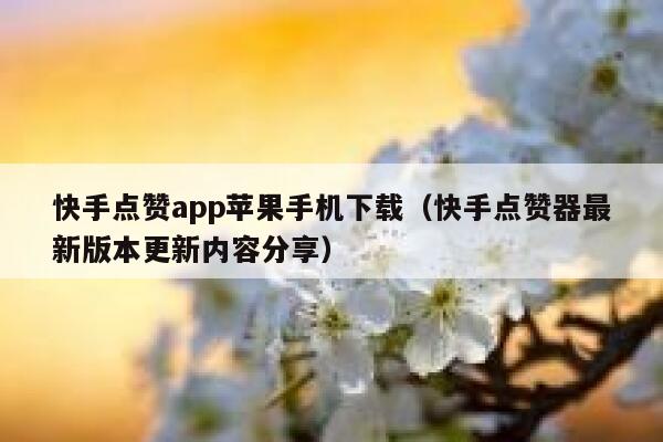 快手点赞app苹果手机下载(快手点赞器最新版本更新内容分享) 第1张 快手点赞app苹果手机下载(快手点赞器最新版本更新内容分享) 第1张