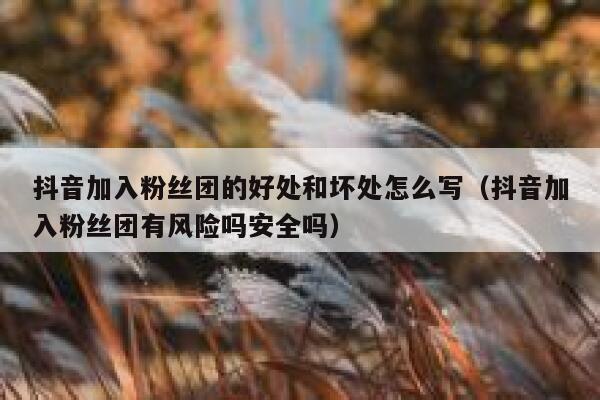 抖音加入粉丝团的好处和坏处怎么写（抖音加入粉丝团有风险吗安全吗） 第1张